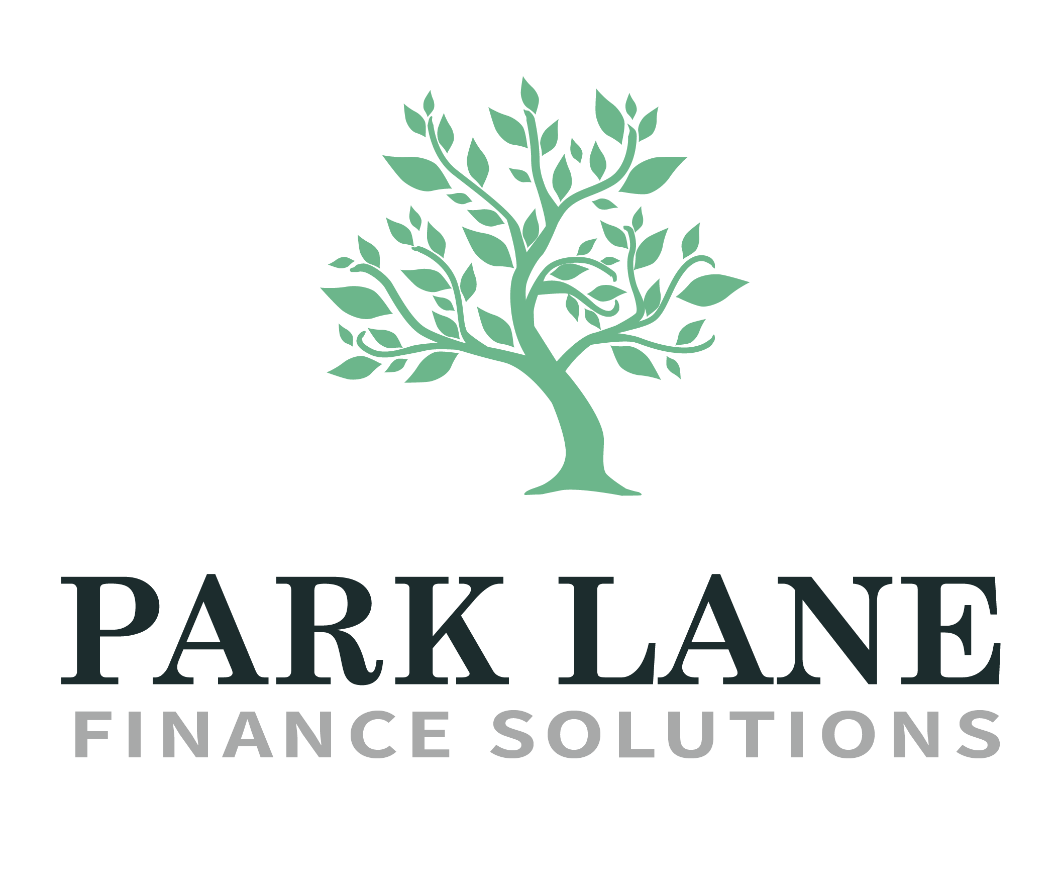 Parklane Finance: Your Path To Financial Success